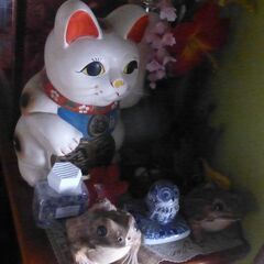 まねき猫４体の画像