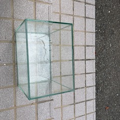 ガラス水槽の画像