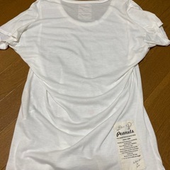アズ ノゥ アズ ドゥ バズ　スヌーピー　Tシャツの画像