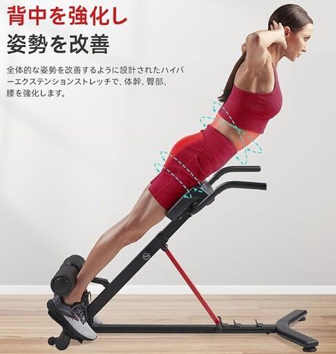 サニー ヘルス&フィットネス ローマンチェア折りたたみ式バック