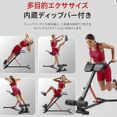 サニー ヘルス&フィットネス ローマンチェア折りたたみ式　バックエクステンションの画像