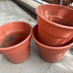 差し上げます！ガーデニング観葉植物用の画像