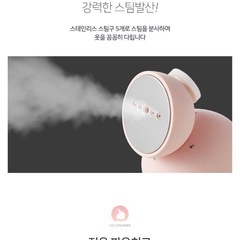 ミニスチームアイロン(韓国製品)の画像