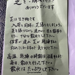 TM9 芝 省管理型コウライシバの画像