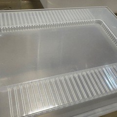昆虫飼育ケース　小サイズ　蓋付き8個　傷あり　引き取りのみ配送不可　クワガタムシ、カブトムシ用の画像