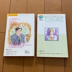 里中満智子 コミック 漫画 二度目の恋 愛したい女たちの画像