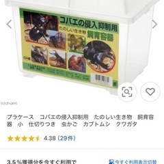 昆虫飼育ケース　小サイズ　蓋付き8個　傷あり　引き取りのみ配送不可　クワガタムシ、カブトムシ用の画像