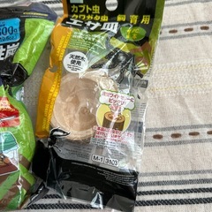 昆虫飼育セットの画像