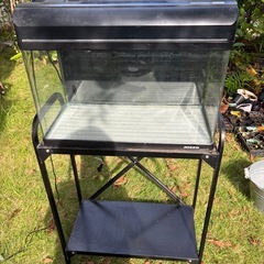 取引中です。水槽他　の画像