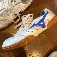ミズノ  スニーカーの画像