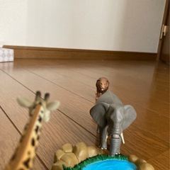 アニア　動物達の画像