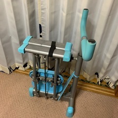 レッグウィング
の画像