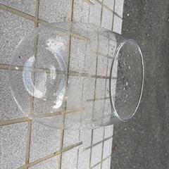 GEXボトリウム水槽の画像