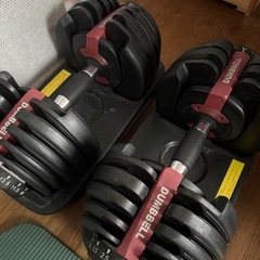 可変式ダンベル　24キロ　2個セットの画像