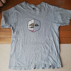 クイックシルバー　Ｔシャツの画像