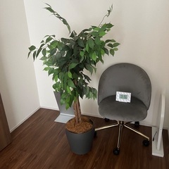 チェア　観葉植物　フェイクグリーン　ミラーの画像