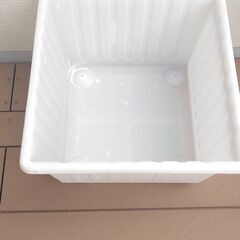 角型たらい　アクアリウムいろいろの画像