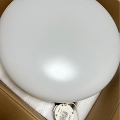 ★訳あり★ポップインアラジンの画像