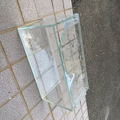 ガラス水槽の画像