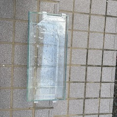 ガラス水槽の画像
