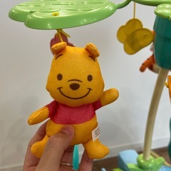 プーメリー（えらべる回転6wayジムにへんしんメリー）の画像