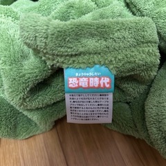 恐竜ポンチョの画像