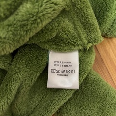 恐竜ポンチョの画像