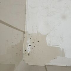 コンテナボックス2個セットの画像