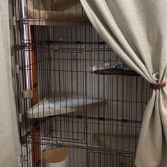 キャットケージの画像