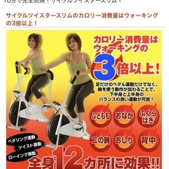 無理なく運動^_^サイクルツイスタースリム　　の画像
