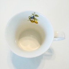 MOOMIN マグカップ＆花柄マグカップ　セットの画像
