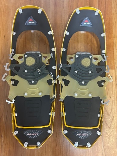 MSRライトニングアッセント 22インチ