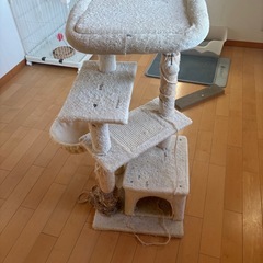 キャットタワー　ジャンク品
の画像
