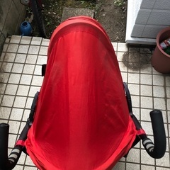 対加重大きめ　バギーの画像