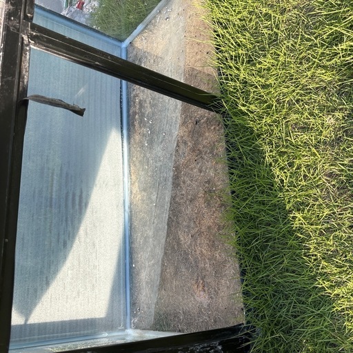ガラス水槽