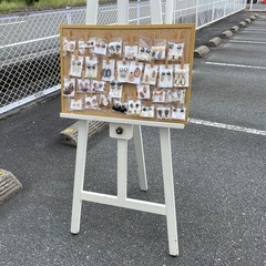 イーゼルの画像
