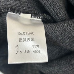 ハッシュパピー　Hush Puppies Vネック セーター　秋　冬　Lの画像