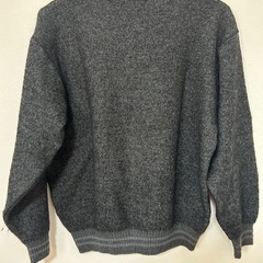 ハッシュパピー　Hush Puppies Vネック セーター　秋　冬　Lの画像
