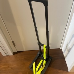 カーボン柄 荷物キャリアカートの画像