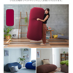 ビーズクッション ビーンズマックスの画像