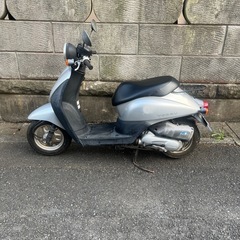 原付ホンダトゥデイの画像