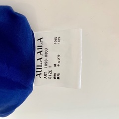 AULA AILA チュニックの画像