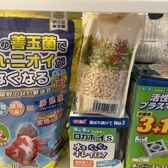 金魚飼育セットの画像