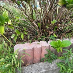植木鉢　石　ブロック等の画像