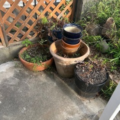 植木鉢　石　ブロック等の画像