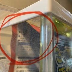 金魚飼育セットの画像