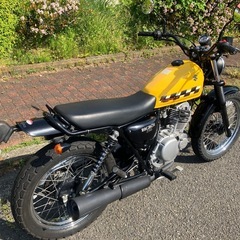 スズキ　グラスドラッカー　ビックボーイ250の画像