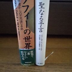 9／30締切 ★ 本を無料でお譲りします（ソフィーの世界、聖なる予言、村上春樹、よしもとばなな、俵万智、ノルウェイの森　サラダ記念日　哀しい予感）　9冊セットの画像