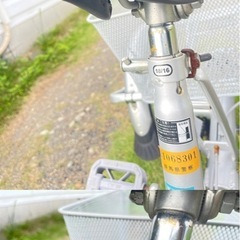 大人用三輪自転車の画像