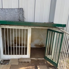 犬小屋の画像